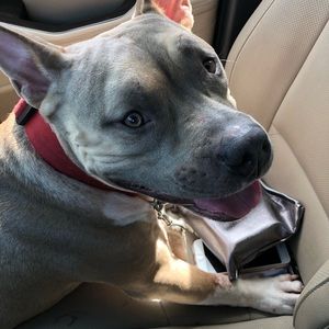 Meet your Posher, Marissa